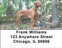 Vizslas On The Hunt Address Labels