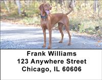 Vizslas On The Hunt Address Labels