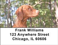 Vizslas On The Hunt Address Labels