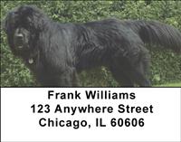 Newfoundlands Address Labels