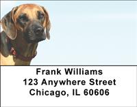 Rhodesian Ridgebacks Address Labels