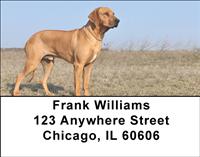 Rhodesian Ridgebacks Address Labels