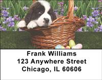 Saint Bernard Puppies Address Labels