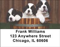 Saint Bernard Puppies Address Labels