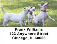 Bull Terriers Address Labels