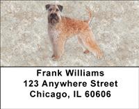 Soft Coated Wheaten Terriers Address Labels