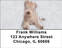 Soft Coated Wheaten Terriers Address Labels