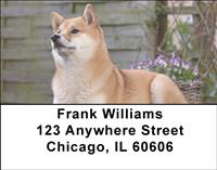 Shiba Inus Address Labels