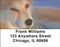 Shiba Inus Address Labels