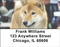 Shiba Inus Address Labels