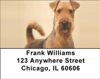 Fun Airedale Terriers Address Labels