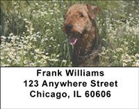 Fun Airedale Terriers Address Labels
