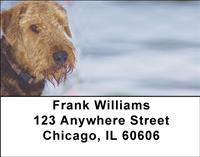 Fun Airedale Terriers Address Labels
