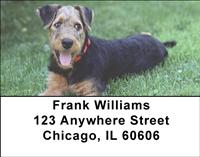 Airedale Pups Address Labels