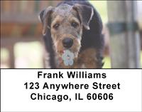 Airedale Pups Address Labels