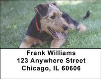 Airedale Pups Address Labels