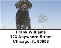 Portuguese Water Dogs Address Labels
