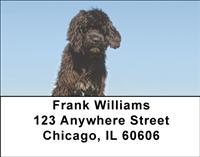 Portuguese Water Dogs Address Labels