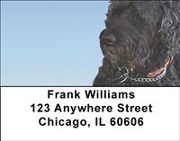 Portuguese Water Dogs Address Labels