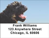Portuguese Water Dogs Address Labels