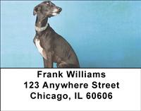 Elegant Whippets Address Labels