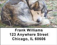 Alaskan Malamutes Address Labels