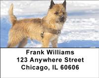 Cairn Terriers Address Labels
