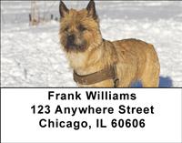 Cairn Terriers Address Labels
