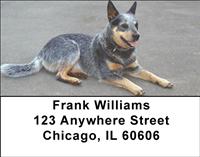 Grey Australian Cattle Dogs Address Labels