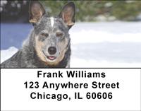 Grey Australian Cattle Dogs Address Labels