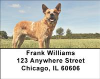 Tan Australian Cattle Dogs Address Labels