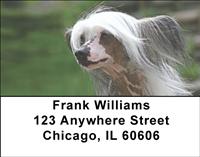 Chinese Crested Address Labels