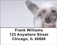 Chinese Crested Address Labels