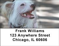 Chinese Crested Address Labels