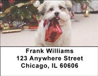 Cute Lhasa Apsos Address Labels