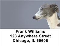 Italian Greyhounds Address Labels
