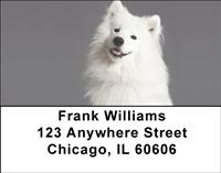 Samoyeds Address Labels
