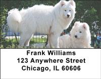 Samoyeds Address Labels