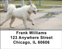 Samoyeds Address Labels