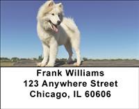Samoyed Puppies Address Labels