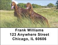 Irish Setters Outdoors Address Labels