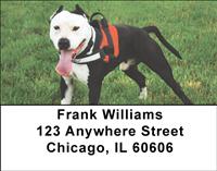 American Staffordshire Outdoors Address Labels