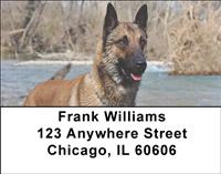 Belgian Malinois At The River Address Labels