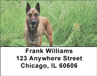 Belgian Malinois At The River Address Labels