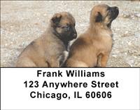 Belgian Malinois Puppies Address Labels