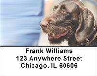 German Wirehaired Pointer Address Labels