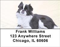 Japanese Chin Address Labels