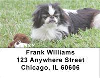 Japanese Chin Address Labels