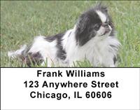 Japanese Chin Address Labels