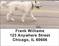 Irish Wolfhounds Address Labels